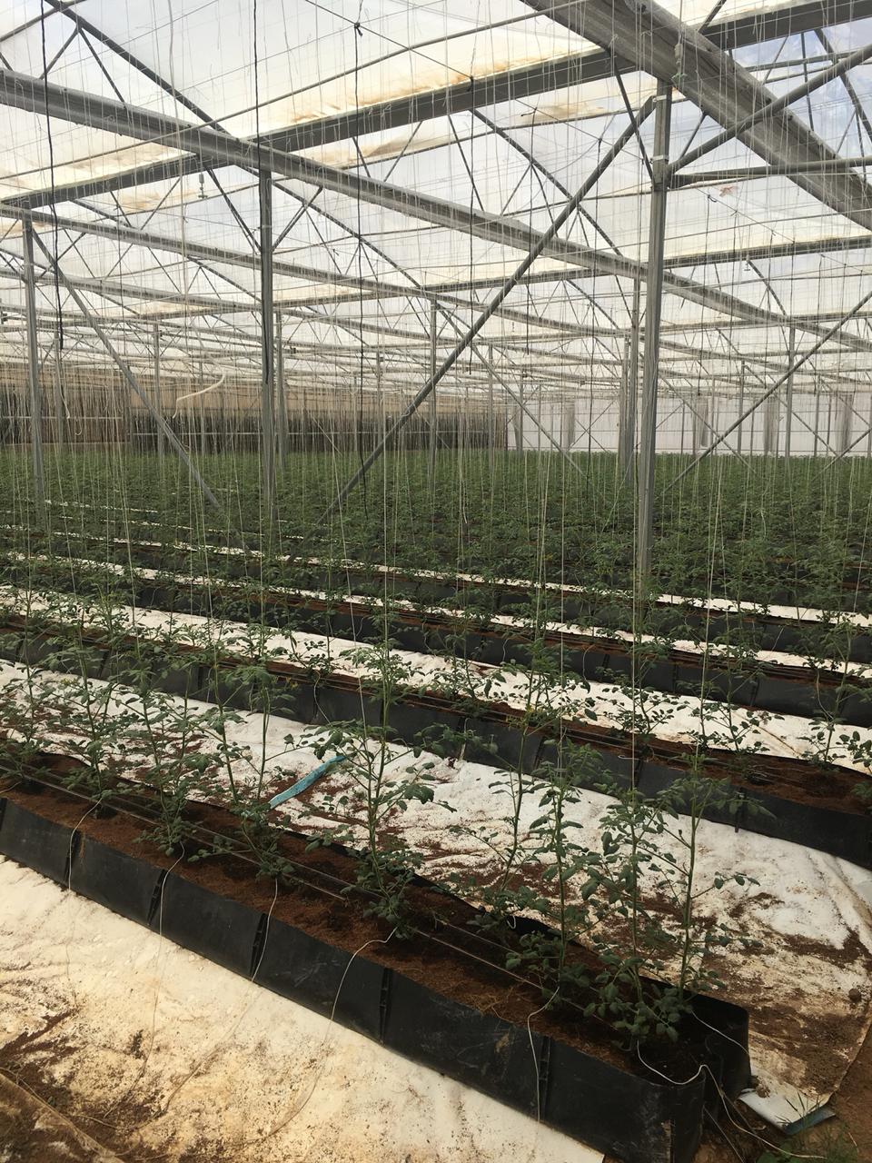Agricultural Operations